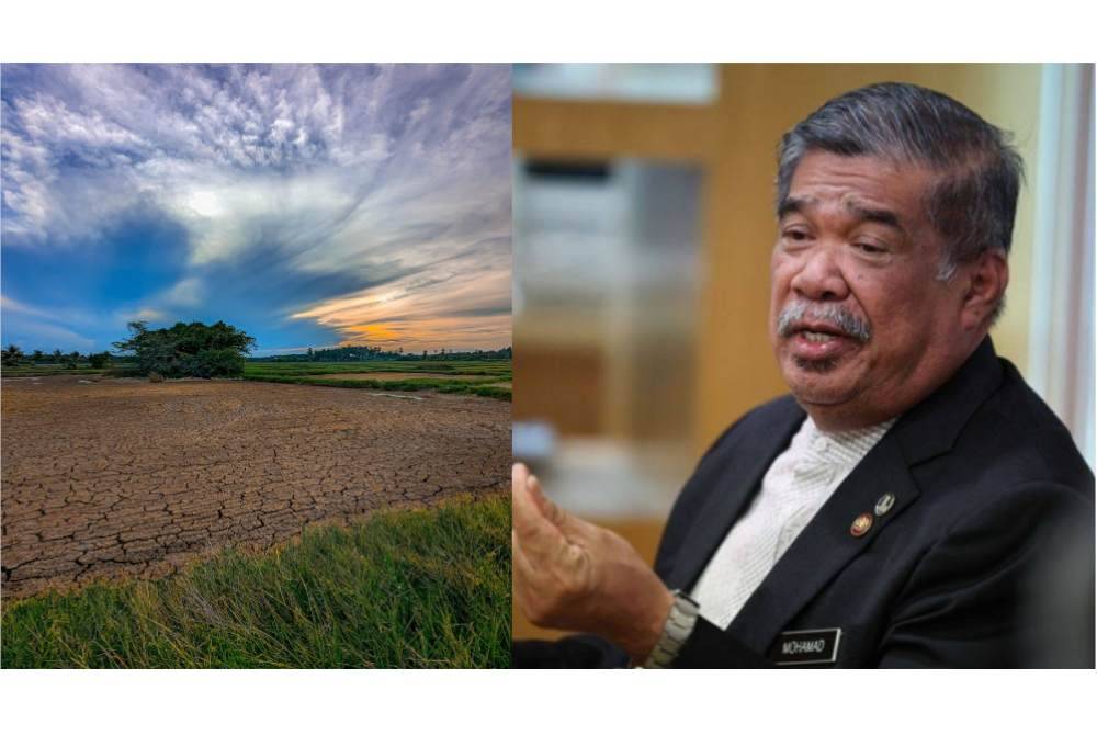 Bendang Kok Keli, Tumpat yang kering kontang akibat cuaca panas luar biasa - Foto Haris Zamri-MobilePhotographyG. (Kanan: Mohamad Sabu)