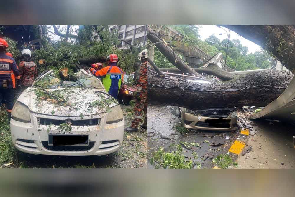 Antara kereta terjejas terus dihempap pokok tumbang dalam kejadian di Jalan Sultan Ismail pada Selasa.