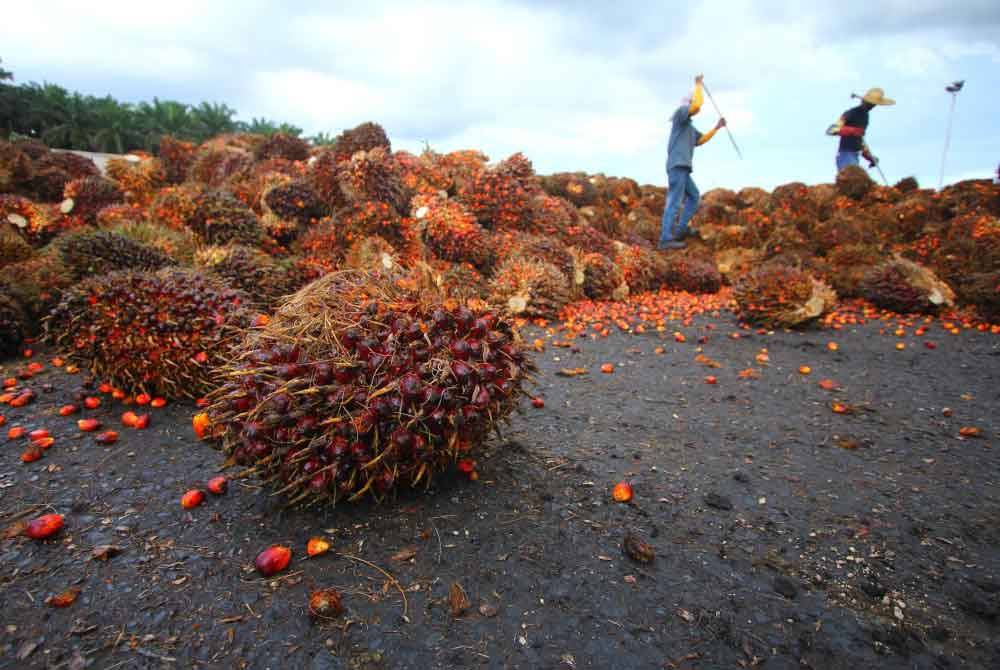 Gambar hiasan. Foto 123RF