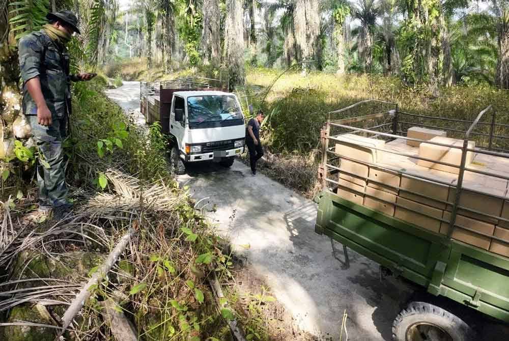 Dua lori membawa muatan tomoto yang ditahan dalam Operasi Bersepadu Ops Sekat di kawasan Hutan Simpan Gunung Benom di sini, Isnin lalu.