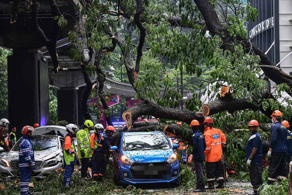 Kejadian pokok tumbang yang menyebabkan sekurang-kurangnya tujuh belas kenderaan terkesan dihempap pokok berkenaan akibat hujan lebat dan angin kencang di Jalan Sultan Ismail pada Selasa. Foto Bernama