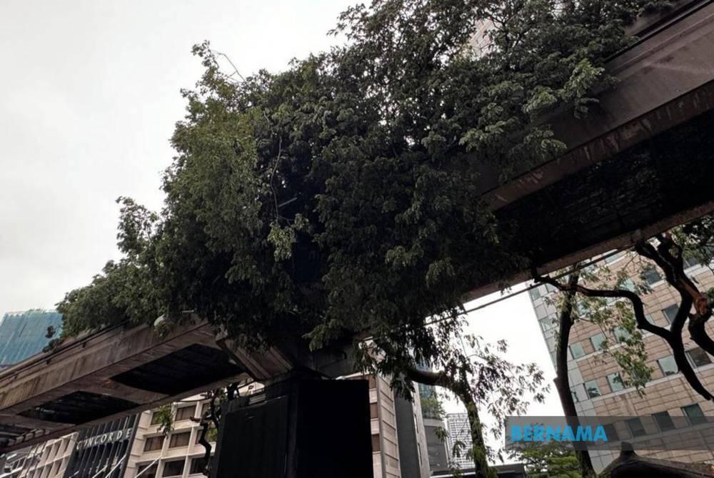 Kejadian dahan pokok tumbang di atas landasan berhampiran Stesen Monorel Raja Chulan pada petang Selasa. Foto Bernama