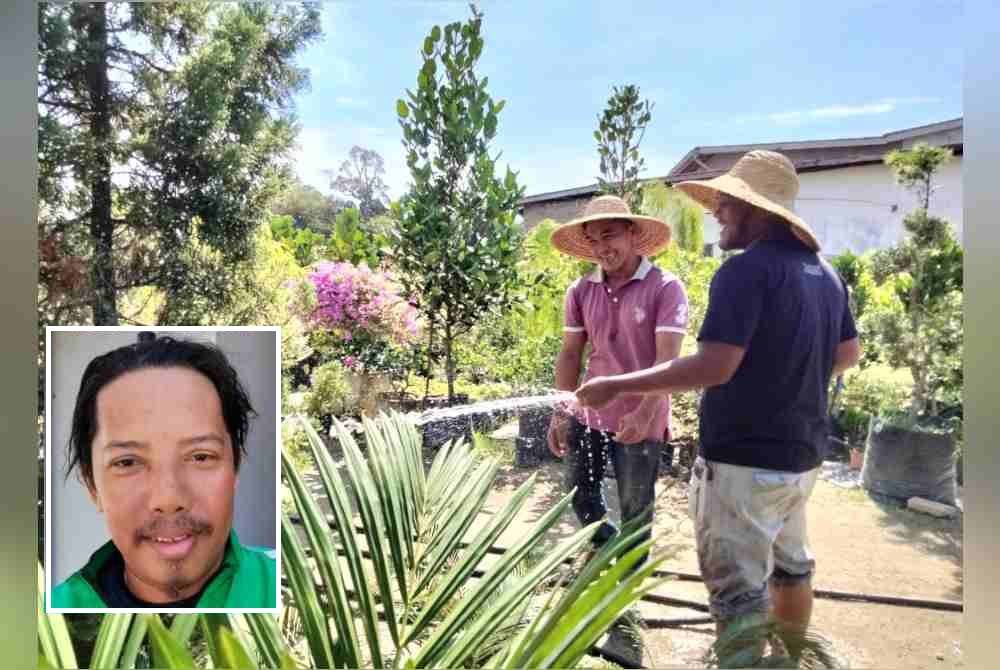 Mohamad Khairil Ihsan (kiri) melihat pekerja, Mohamed Nuqman Mohamed Zikrillah, 25, menyiram pokok dalam cuaca panas terik. Gambar kecil: Khairul Nizam