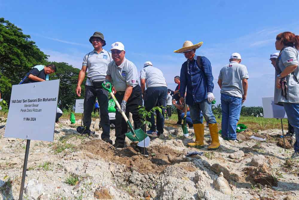 Saarani menanam anak pokok merawan siput jantan sebagai simbolik perasmian Program Pemuliharaan Biodiversiti Penghutanan Semula AEON Credit di Taman Alam Kinta pada Sabtu.