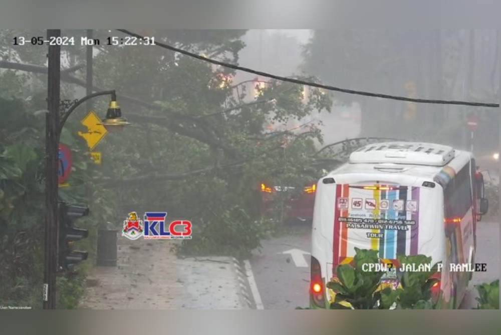 Difahamkan, sekurang-kurangnya sebuah kenderaan turut dihempap pokok dalam kejadian tersebut. Foto/Kredit KLC3