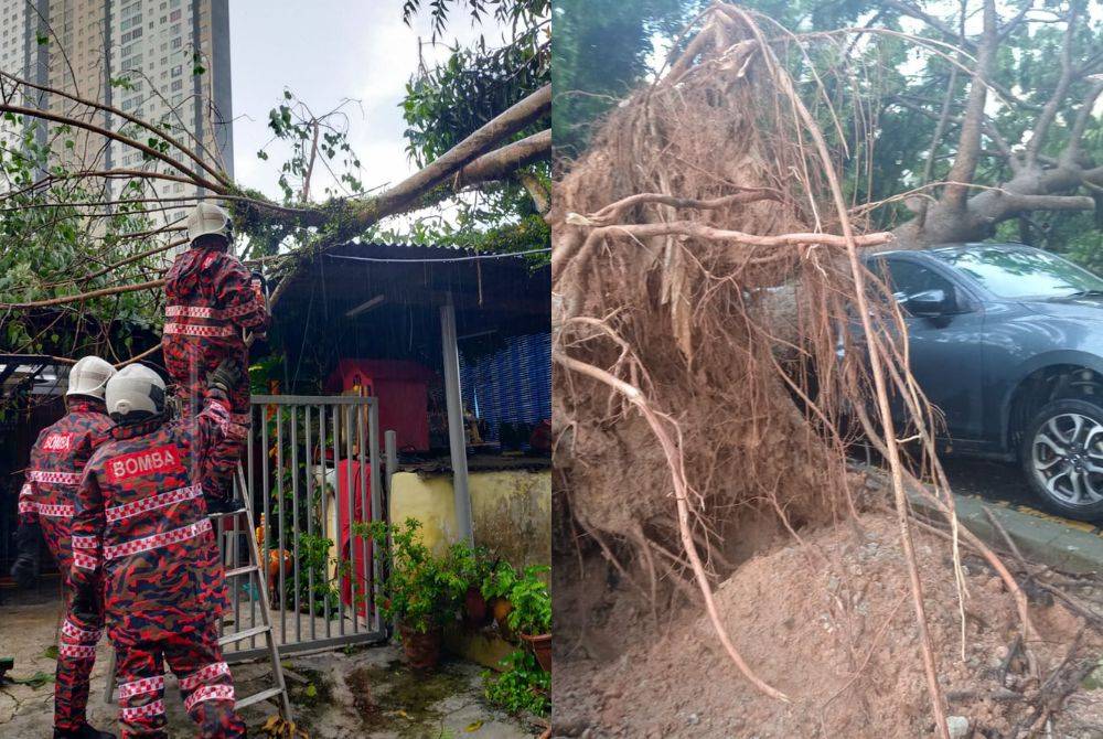 Pokok tumbang yang dilaporkan berlaku di sekitar ibu kota, pada Isnin.