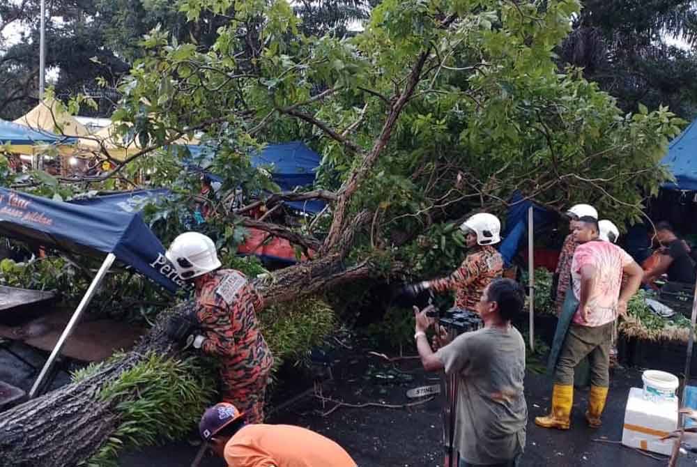 Dua khemah peniaga di tapak Pasar Malam Taman Semarak di sini dihempap pokok dalam kejadian lewat petang Selasa.