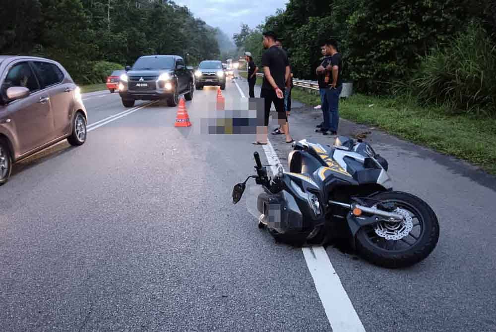 Penunggang motosikal maut selepas terlanggar beberapa ekor babi hutan yang telah mati di tengah jalan awal pagi Jumaat.