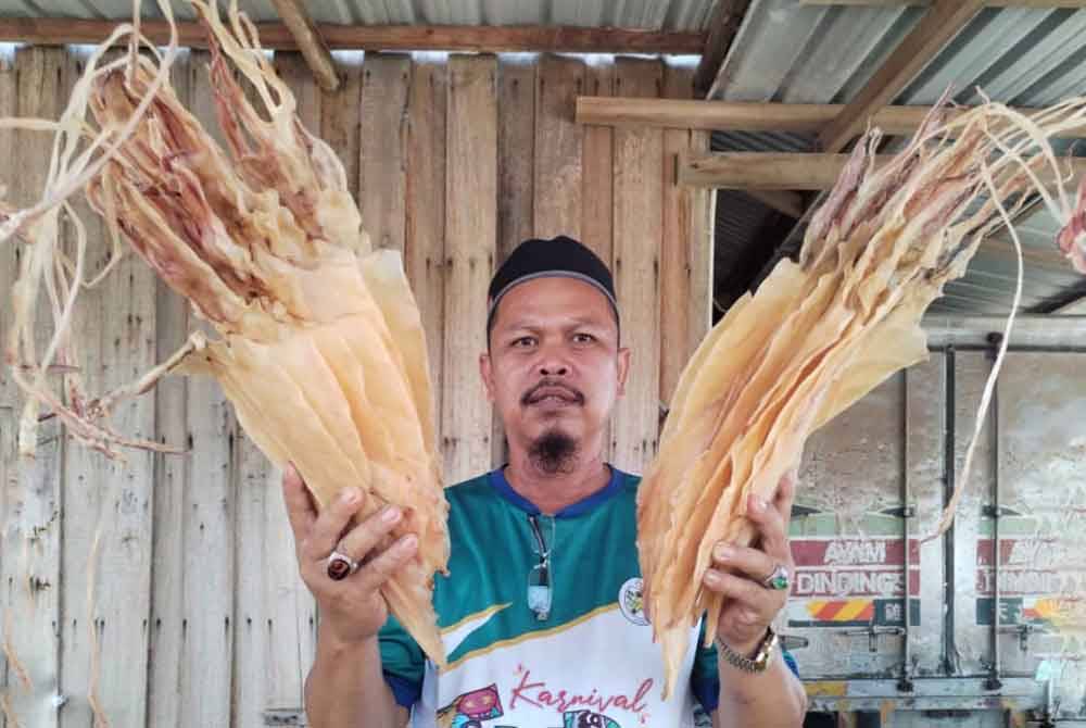 Fazil Zabidi menunjukkan sotong kering yang telah melalui proses pengeringan ketika ditemui di bengkel pemprosesan sotong di Kampung Air Tawar, Besut.