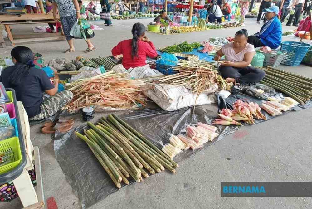 Nora Lakiu (dua dari kanan) bersama hasil bumi yang dibawa untuk jualan di tapak Tamu Pekan Tenom. Foto Bernama