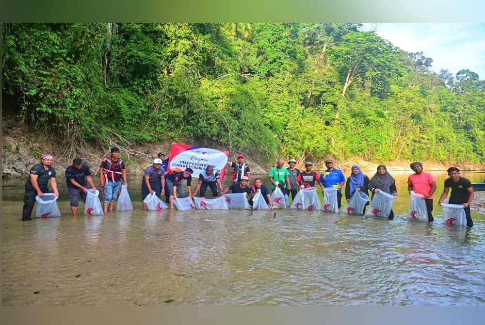 Aktiviti pelepasan benih ikan di Tasik Kenyir dilaksanakan sempena pembukaan Sungai Cacing kepada orang ramai bagi menjalankan aktiviti memancing.