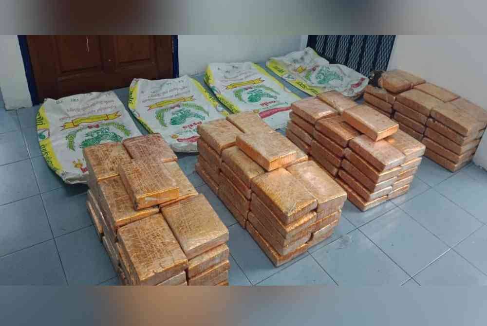 Polis menemukan 123.4kg ketulan ganja bernilai RM382,540 di persisiran pantai Kuala Perlis. Foto Polis Perlis