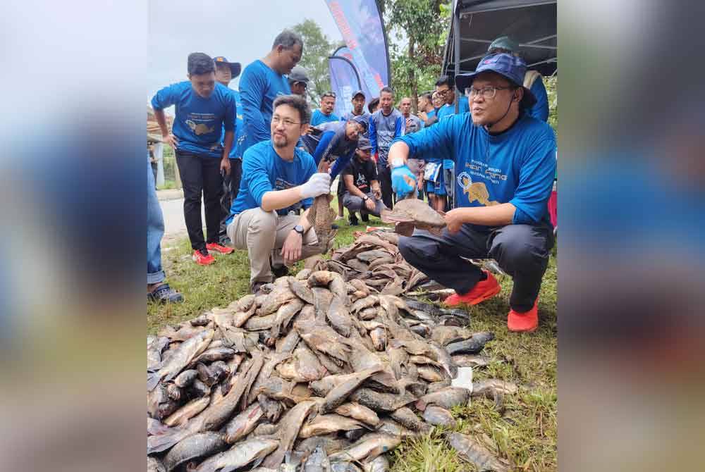 Adnan (kanan) menunjukkan saiz ikan bandaraya yang agak besar berjaya ditangkap di Sungai Kuyoh, Bukit Jalil pada Ahad.