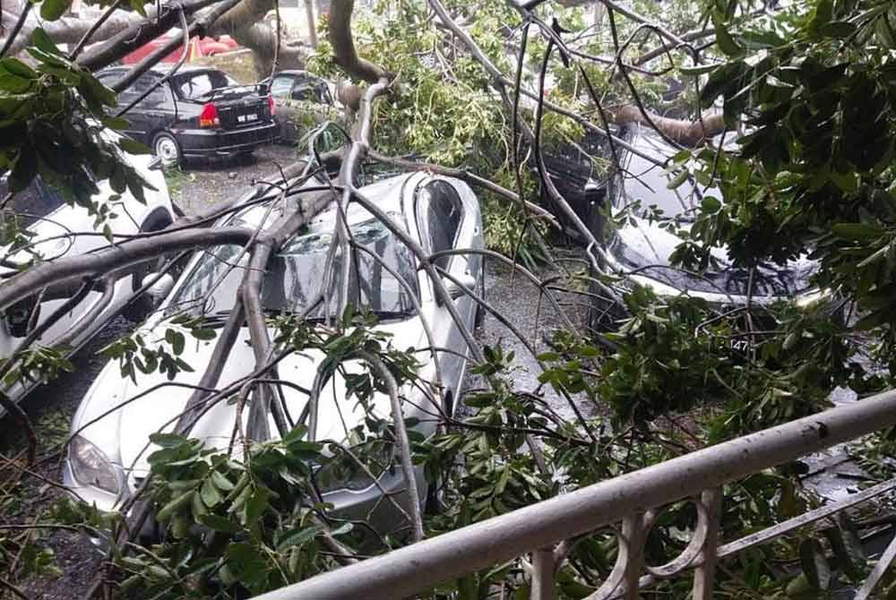 Pokok tumbang menghempap tujuh buah kereta di Taman Kinrara pada Isnin.