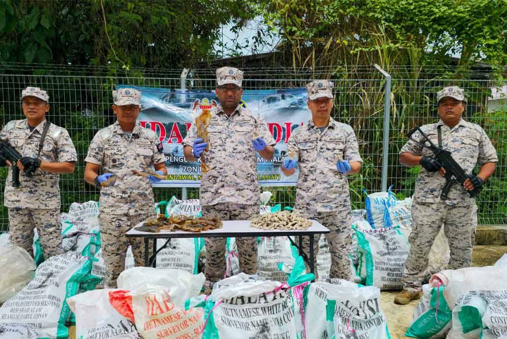 Guni berisi daging penyu yang dikeringkan cuba diseludup ke negara luar dalam rampasan di perairan Kampung Tajau Laut, Kudat.