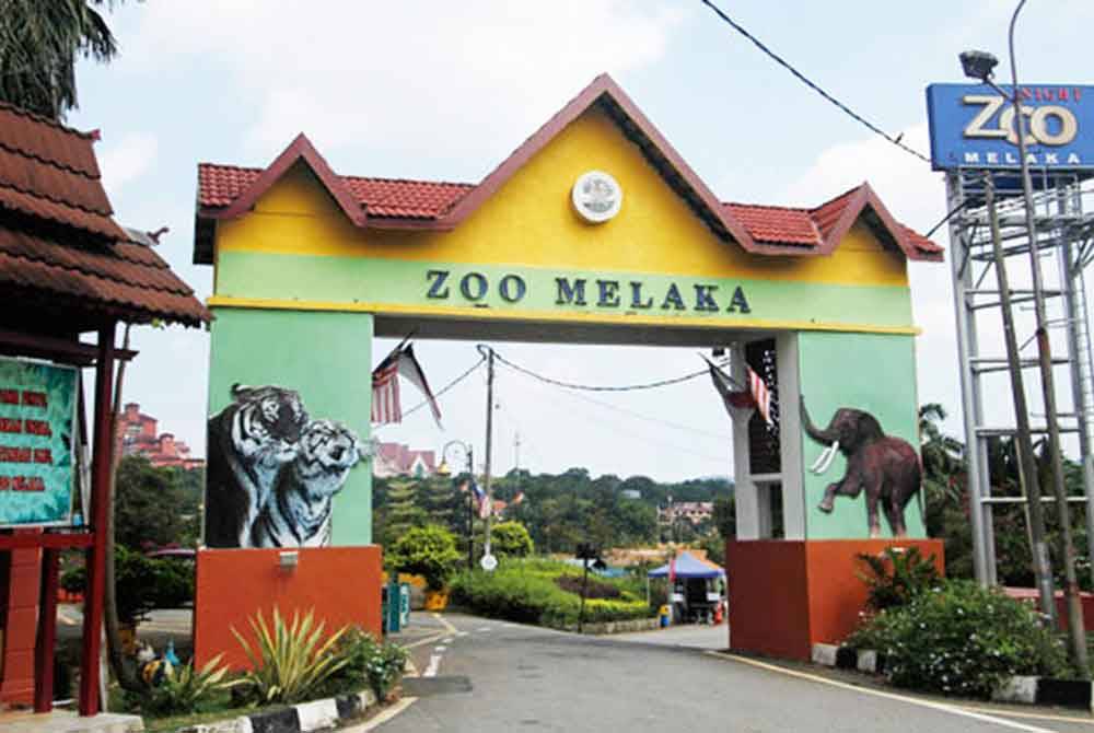 Zoo Melaka menyasarkan kemasukan kira-kira 5,000 pengunjung sempena pelaksanaan Program Melaka Bila Larut Malam (MBLM) bermula esok.