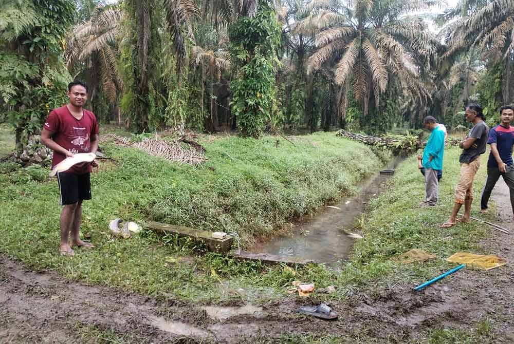 Iskandar bersama seekor ikan kelisa bersisik emas.