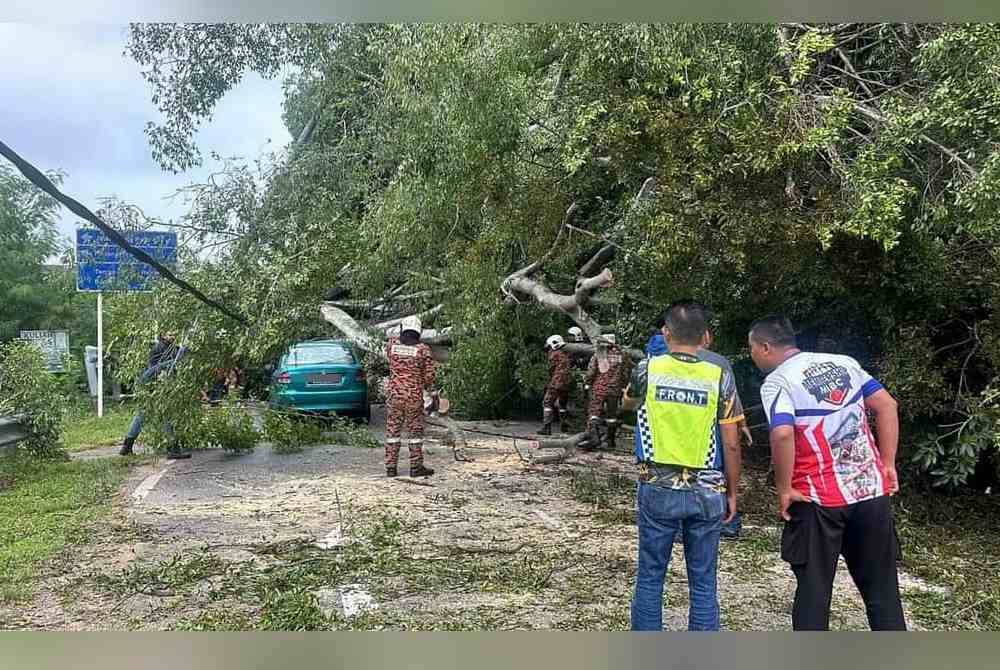 Sebuah kereta Proton Saga dihimpap Pokok Sena yang tumbang di Jalan Bukit Senjuang, di Banda Hilir, di sini, pada Sabtu.