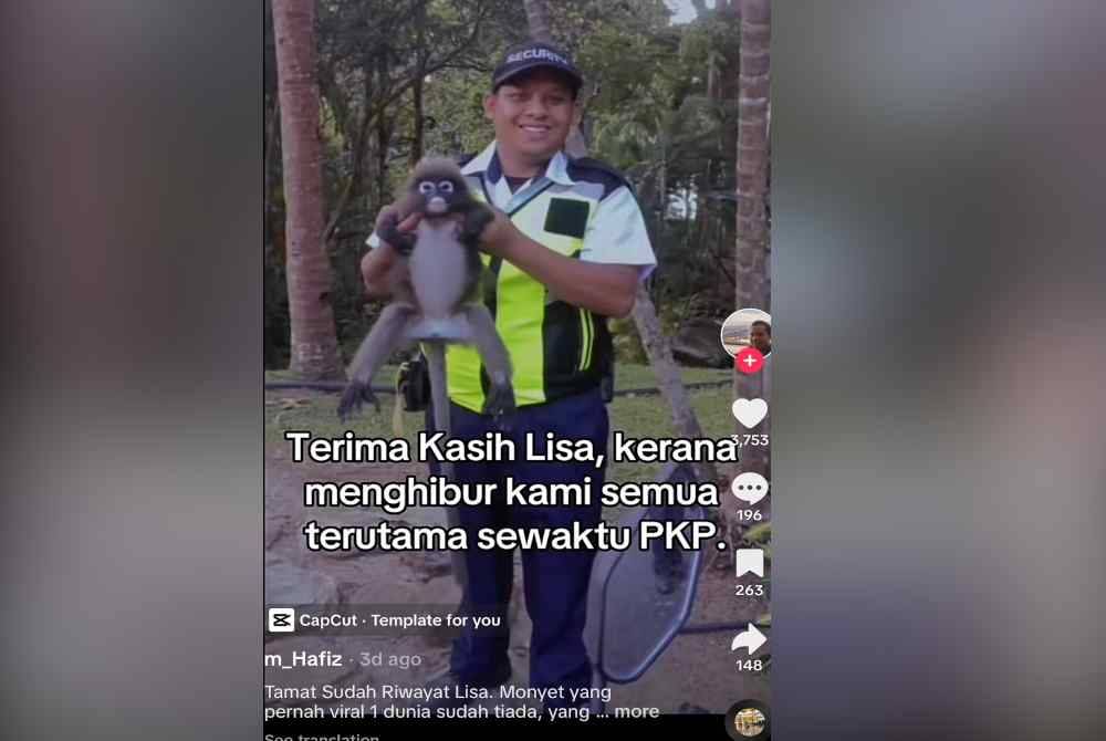 Lotong yang diberi nama Lisa itu mati akibat terjatuh dari pokok.