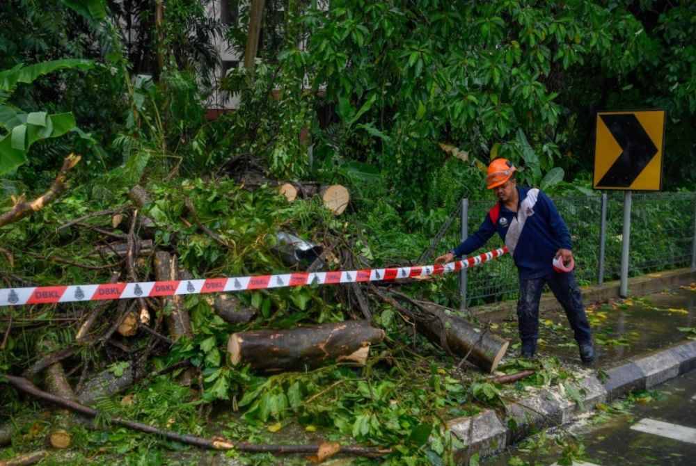 Kejadian pokok tumbang tidak boleh dipandang remeh dan perlu melalui proses pemeriksaan segera kerana ia melibatkan nyawa orang ramai dan harta benda awam. Gambar hiasan