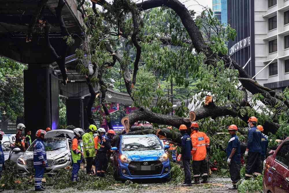 Pokok tumbang turut menghempap landasan monorel di Jalan Sultan Ismail, Kuala Lumpur.