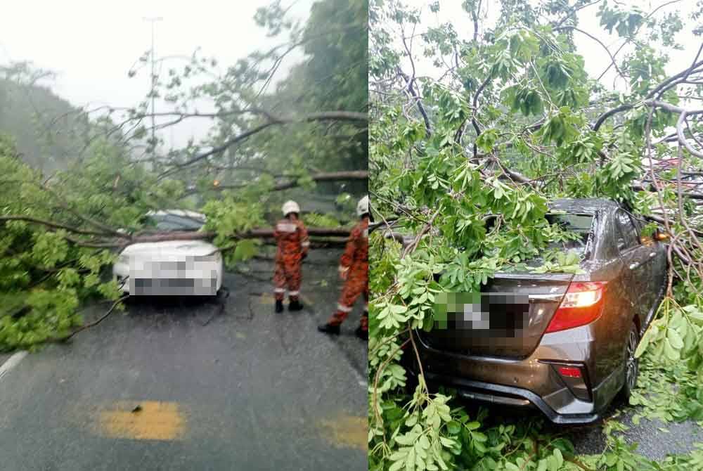 Anggota bomba sedang mengalihkan pokok yang tumbang dekat Jalan Kapar Batu 6 di sini pada Selasa.