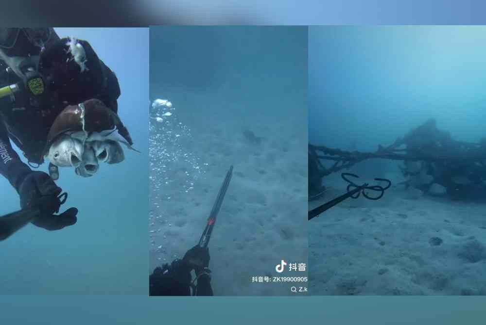 Seorang penyelam menangkap ikan menggunakan senapang panah di dasar laut dipercayai berlaku di Pulau Mabul, Semporna.