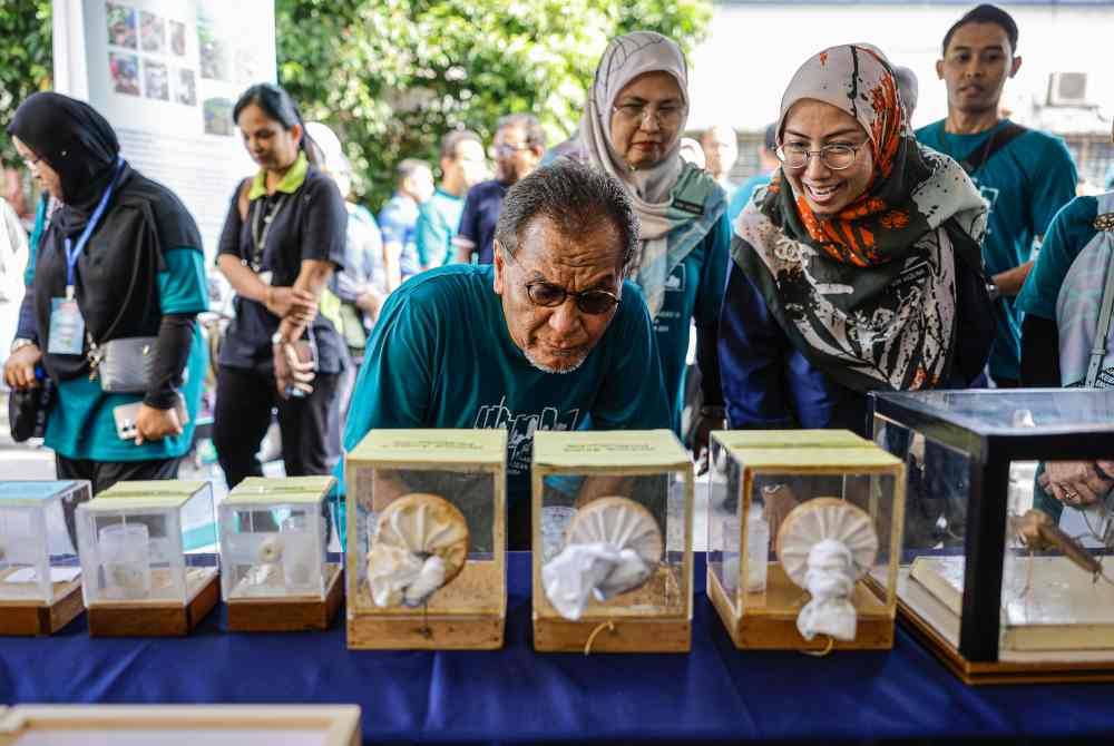 Dr Dzulkefly (tengah) meneliti nyamuk Aedes berWolbachia yang dipamerkan pada Program Gotong Royong Mega Perangi Aedes 1.0 Peringkat Kebangsaan Sempena Sambutan Hari Denggi ASEAN 2024 di Rumah Keluarga Angkatan Tentera (RKAT) Desa Setia Wira, pada Sabtu. Foto Bernama