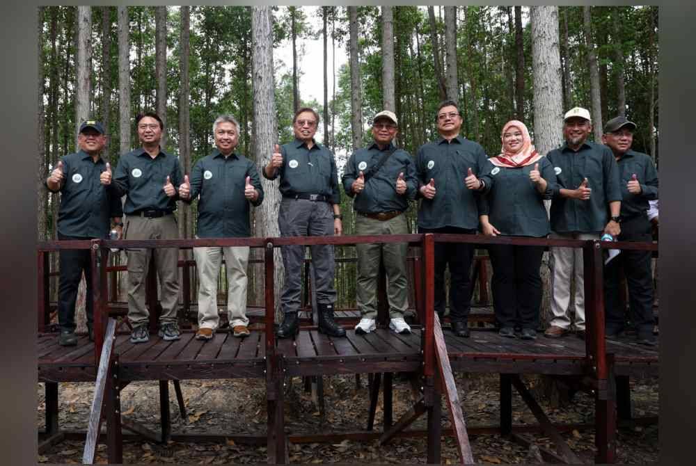 Abang Johari bergambar di titian yang diperbuat daripada kayu Belian sepanjang 100 meter pada sambutan Hari Hutan Antarabangsa peringkat Sarawak 2024 di Hutan Simpan Sabal, Simunjan pada Sabtu. Foto Bernama