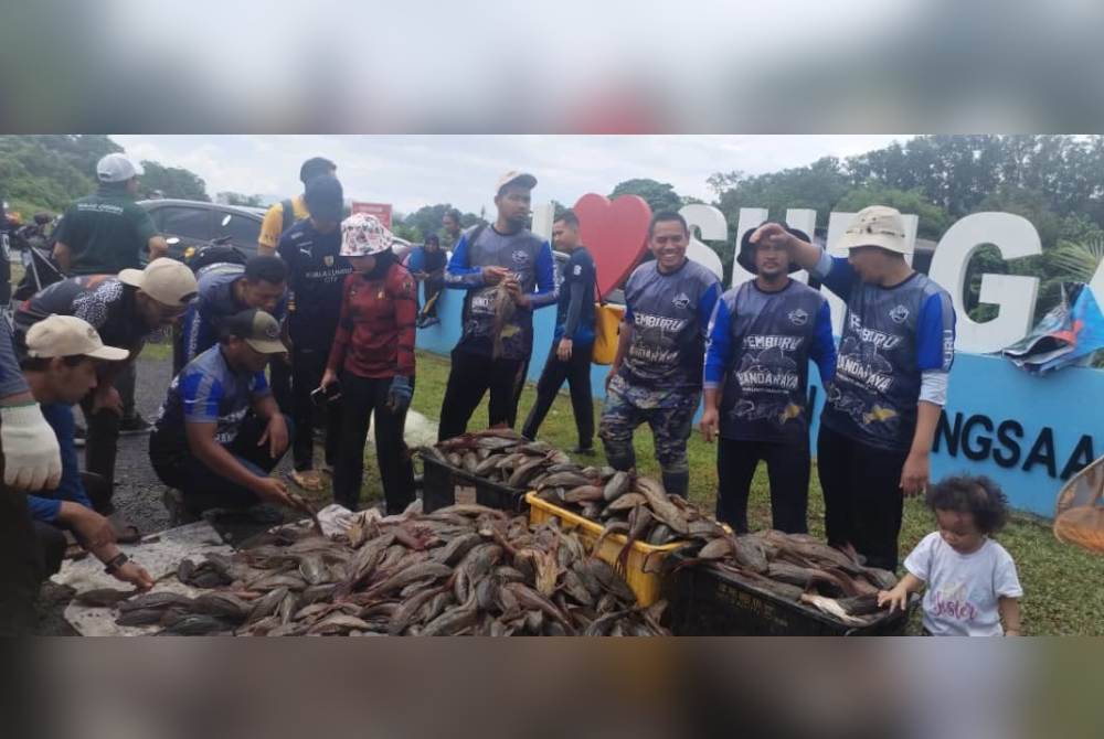 Program Pemuliharaan Sumber Perikanan Darat siri II di denai Sungai Kebangsaan, Bangi pada Ahad berjaya menangkap 737 kilogram ikan bandaraya pada Ahad