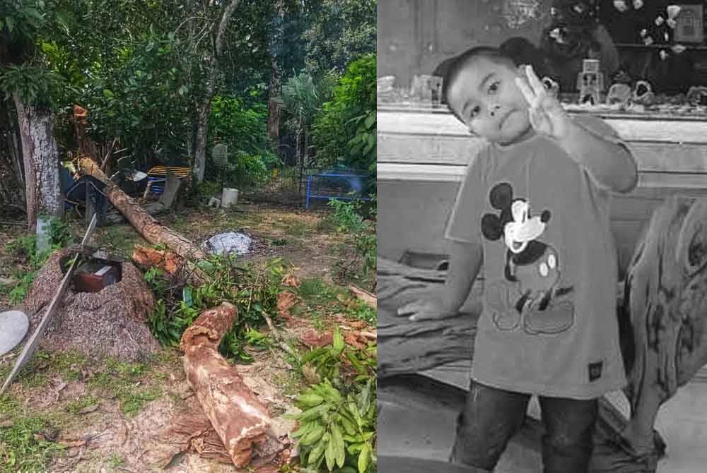 Lokasi kejadian Wan Muhammad Harith Syauqi dihempap pokok kelapa di Felda Jengka 6 pada Sabtu. Gambar kanan: Wan Muhammad Harith Syauqi