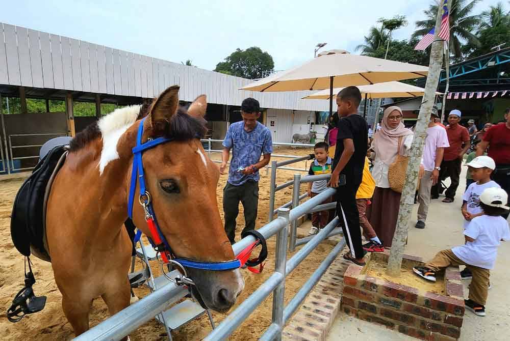 Pemilik Zoo Rimba Razia di Kuala Berang rugi puluhan ribu ringgit selepas lima ekor haiwan mati dipercayai akibat cuaca panas yang berterusan sejak April lepas. Foto FB Zoo Rimba Razia.