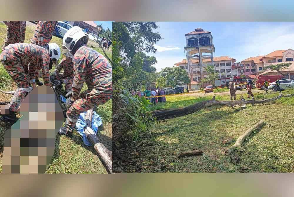 Mangsa disahkan meninggal dunia di lokasi kejadian selepas dihempap pokok tumbang berhampiran di sebuah sekolah di Tebobon, Kota Kinabalu.