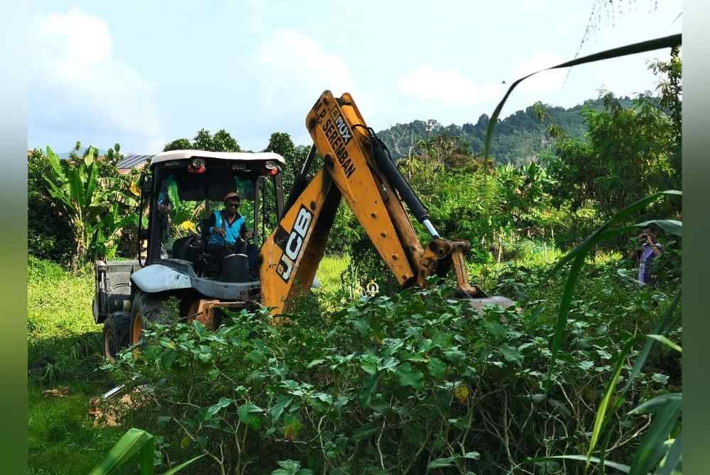 Operasi pembersihan kebun haram diusahakan Rohingnya di Taman Jujur.