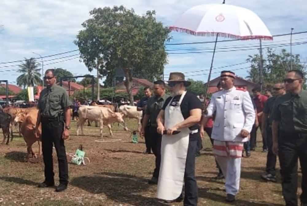 Sultan Muhammad V bersedia untuk menyempurnakan penyembelihan lembu sempena Majlis Ibadat Korban Jama&#039;ie Majlis Agama Islam dan Adat Istiadat Melayu Kelantan (MAIK).