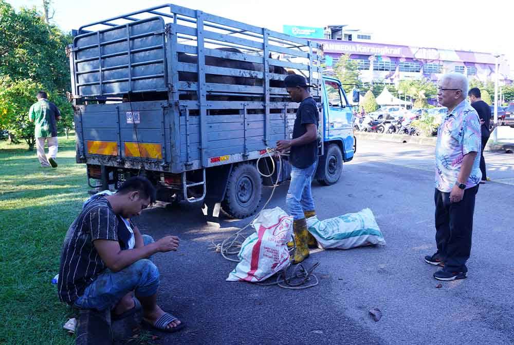 Penasihat Kumpulan Karangkraf, Datuk Hussamuddin Yaacub melihat lembu yang baru tiba ketika program Korban@Karangkraf pada Selasa. Foto SINAR HARIAN/ MOHD HALIM ABDUL WAHID