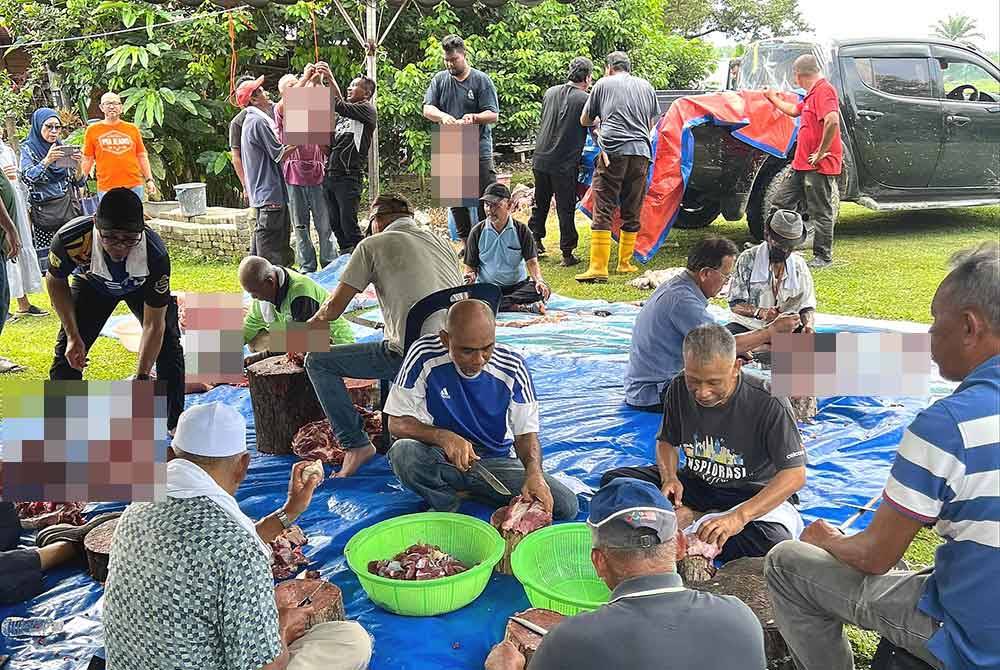 Warga Singapura bergotong-royong dengan penduduk Kampung Sungai Beringin laksanakan ibadah korban. Foto ihsan Khairulanuar