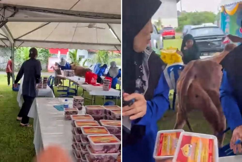 Tangkap layar lembu menyerang sekumpulan wanita ketika proses pengagihan daging korban di sebuah surau di Taman Seri Pandan, di sini, baru-baru ini.