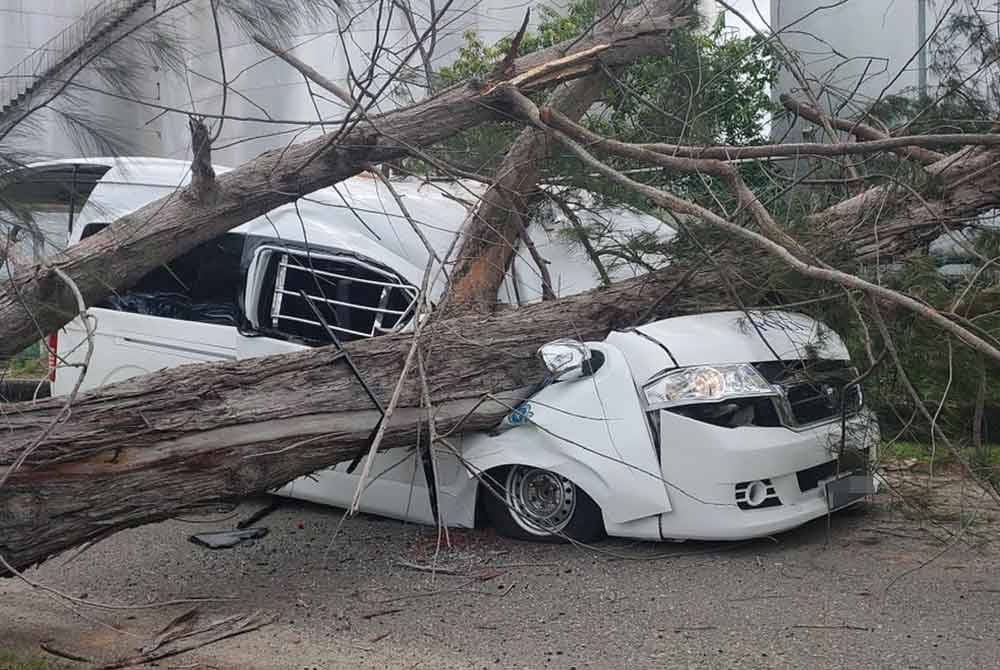 Keadaan van yang dipandu mangsa dihempap pokok tumbang dalam kejadian di Jalan Felda Sahabat 16, Lahad Datu.