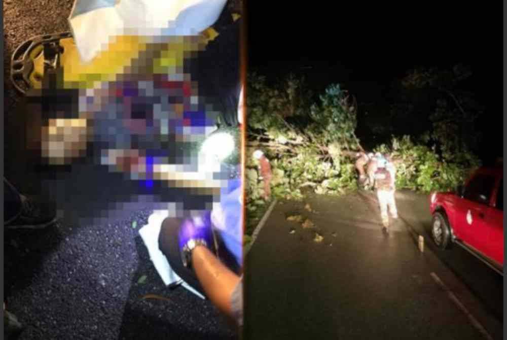 
Sepasang suami isteri cedera manakala anak dalam kandungan berusia lima bulan meninggal dunia dalam kejadian pokok tumbang di Simpang Empat pada Ahad. Foto PDRM