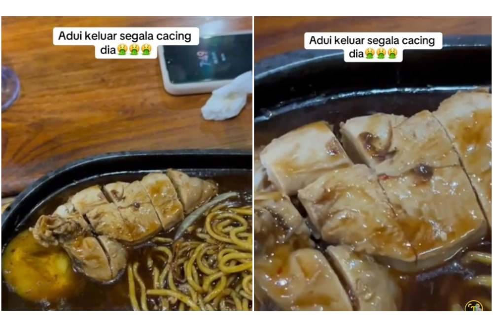 Mi sizzling yang dipesan datang bersama kepulan asap rupanya berlaukkan ulat.