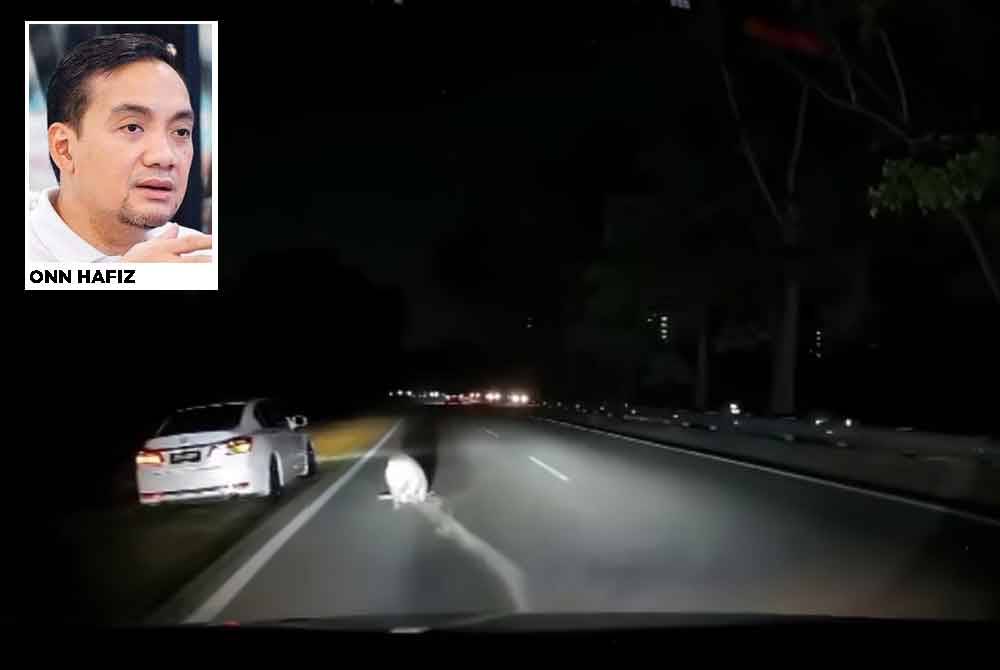 Video memaparkan sebuah kereta dan motosikal kemalangan akibat mengelak babi hutan yang melintas dalam keadaan jalan raya yang gelap yang disertakan dalam muat naik Onn Hafiz di Facebooknya.