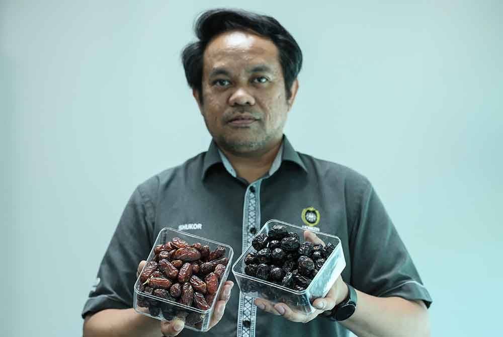 Shukor menunjukkan kurma Ajwa dan Maryami semasa ditemubual Bernama, dalam usaha mengangkat kurma sebagai rawatan tambahan terhadap diabetes di UniSZA, baru-baru ini. Foto Bernama