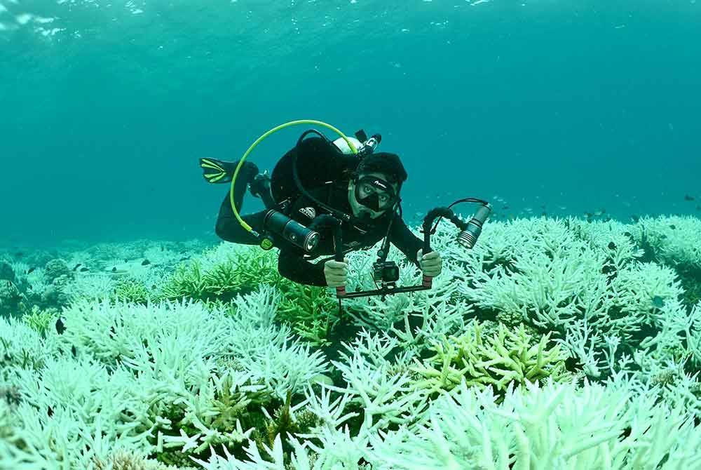 Antara gambar bersama terumbu karang yang dirakam Chun Hong (gambar kecil) di Pulau Geluk, Terengganu.