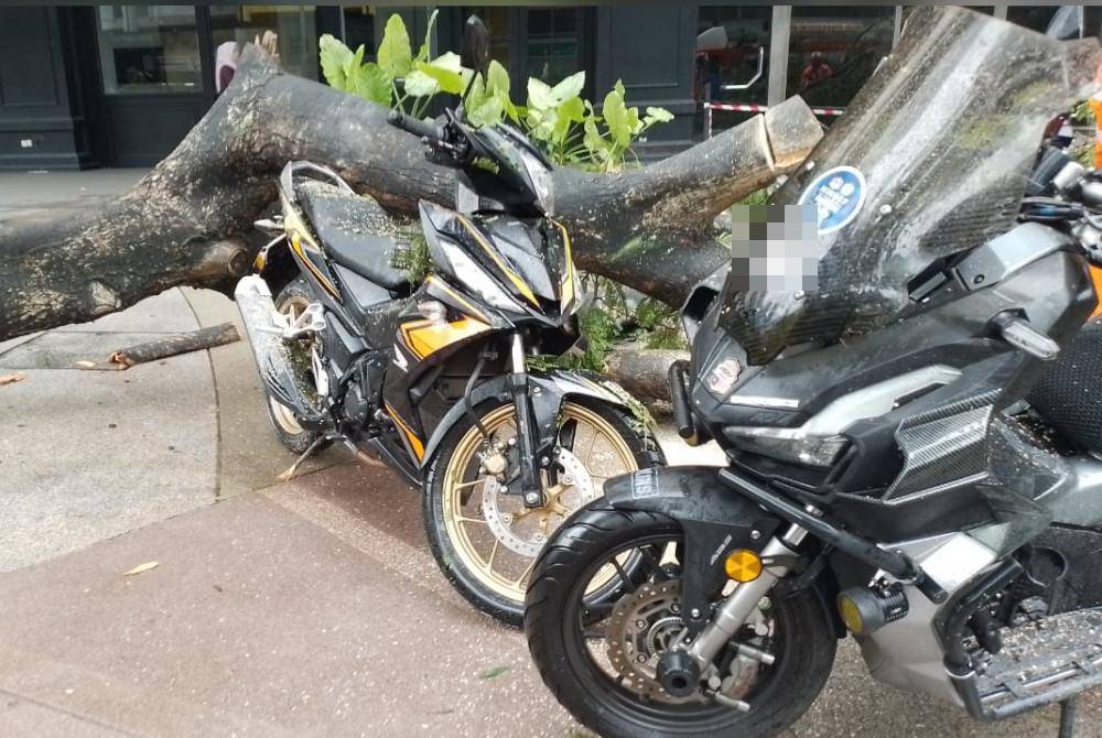 Dua buah motosikal rosak dihempap pokok dalam kejadian di hadapan sebuah pusat beli-belah di Jalan Tuanku Abdul Rahman pada Jumaat.