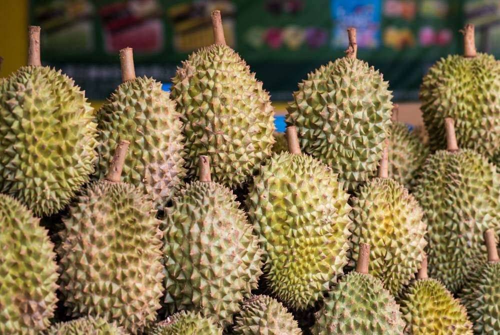 Isu eksport durian, sifar miskin tegar tumpuan Dewan Rakyat hari ini. Gambar hiasan