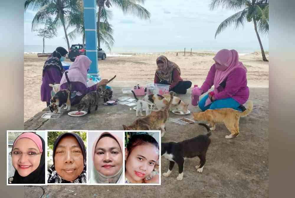 Jurieena (tengah) bersama ahli menyantuni haiwan jalanan. Gambar kecil dari kiri: Jurieena, Rohani, Naliah, Nurhuda