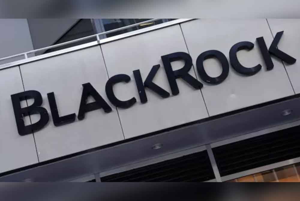 Ramai ahli politik dan individu berkepentingan menyuarakan pandangan mereka tentang penolakan BlackRock dalam mana-mana pegangan saham melibatkan lapangan terbang negara.