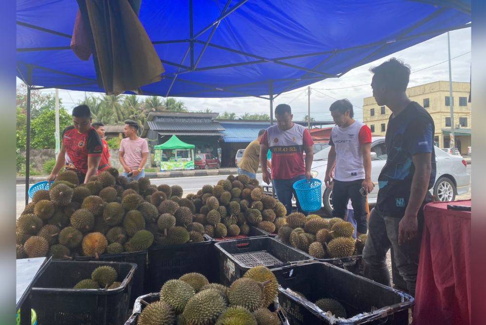 Durian kampung yang dijual di gerai Mohamad Azim