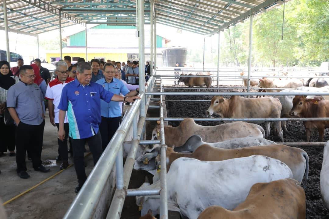 Menteri KPKM, Datuk Seri Mohamad Sabu melawat ladang ternakan lembu HL Agro Farm, baru-baru ini.